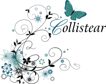 Bristol Electrolysis